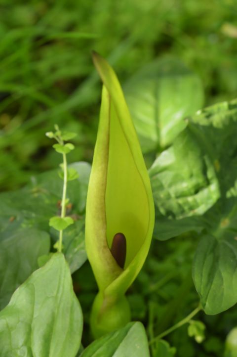 Herzenszeit, Foto © Anja Homeyer